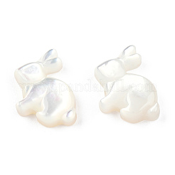 Natural White Shelll Beads&nbsp;SSHEL-N032-60
