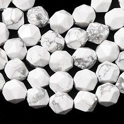 Natural Howlite Beads Strands&nbsp;G-Z119-A43-01