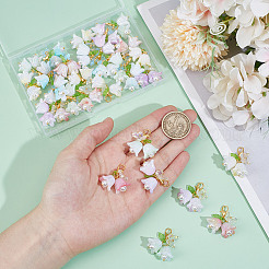 30Pcs 5 Colors Rose Butterfly Resin Pendant Decoration&nbsp;HJEW-GO00219