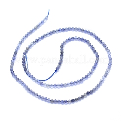 Natural Iolite Beads Strands&nbsp;G-I279-E08
