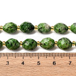 Natural Sesame Jasper Dyed Beads Strands&nbsp;G-D305-B02-02
