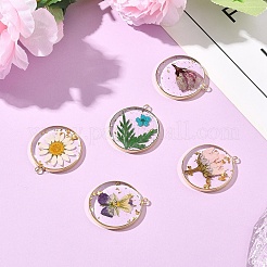 5Pcs 5 Styles Transparent Clear Epoxy Resin Pendants&nbsp;RESI-YW0004-21