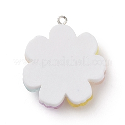 Opaque Resin Pendants&nbsp;RESI-C022-01