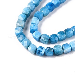 Natural Apatite Beads Strands&nbsp;G-N342-122