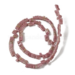 Natural Rhodonite Beads Strands&nbsp;G-Z045-A05-01