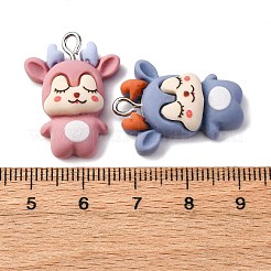 Animal Theme Resin Pendants&nbsp;RESI-V010-01