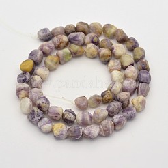 Natural Gemstone Bead Strands&nbsp;G-P070-49