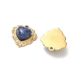 Natural Lapis Lazuli Pendants&nbsp;STAS-P453-12G-02