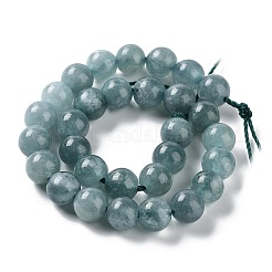Dyed Natural Malaysia Jade Beads Strands&nbsp;G-G021-01A-01