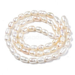 Natural Cultured Freshwater Pearl Beads Strands&nbsp;PEAR-N012-04B