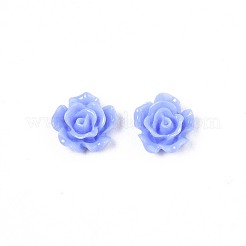 Opaque Resin Cabochons&nbsp;CRES-S307-020-A01
