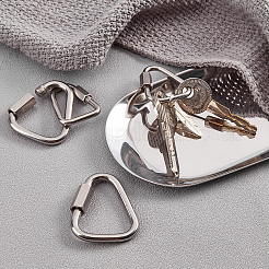 Stainless Steel Screw Carabiner Lock Charms&nbsp;KEYC-UN0001-02P