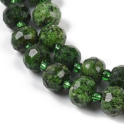 Natural Sesame Jasper Dyed Beads Strands&nbsp;G-H057-A21-07