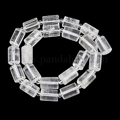 Natural Quartz Crystal Beads Strands&nbsp;G-G453-E02-10x14mm