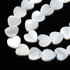 Natural Trochid Shell/Trochus Shell Beads Strands&nbsp;SSHEL-N034-99A-B01