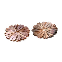 Natural Sea Shell Beads&nbsp;SHEL-F007-22