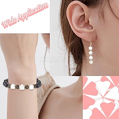 5Pcs Natural White Shell Beads&nbsp;BSHE-CJ0001-11