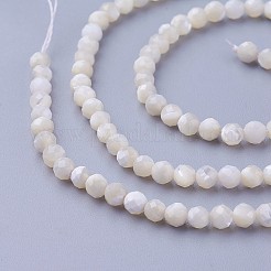 Natural Shell Beads Strands&nbsp;X-G-F619-27-3mm