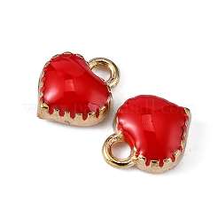 Alloy Enamel Charms&nbsp;LS-ENAM-Q033-051D