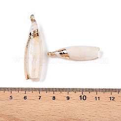 Natural Sea Shell Pendants&nbsp;SSHEL-N038-29