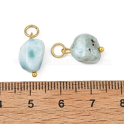 Natural Larimar Pendants&nbsp;PALLOY-JF05952