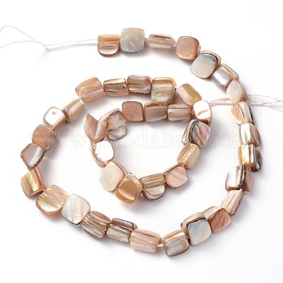 Erose Shell Beads Strands&nbsp;PBB071Y-1