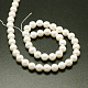 Shell Pearl Beads Strands&nbsp;BSHE-E008-16mm-12-3