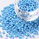 8/0 Glass Seed Beads&nbsp;SEED-A012-3mm-123-1