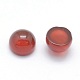 Natural Carnelian Cabochons&nbsp;G-P393-R03-12MM-2