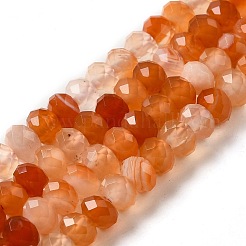 Natural Banded Agate/Striped Agate Beads Strands&nbsp;G-E605-A02-01H