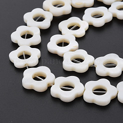 Freshwater Shell Beads Frames Strands&nbsp;X-SHEL-T009-14A