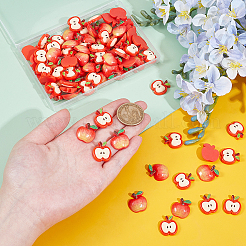 80Pcs 2 Styles Resin Cabochons&nbsp;RESI-PH0002-49