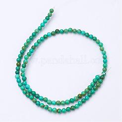 Natural Magnesite Bead Strands&nbsp;G-P286-13-4mm