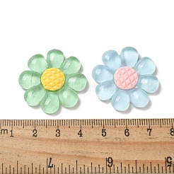 Transparent Resin Pendants&nbsp;CRES-R457-01A