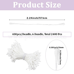 6Bundles Gypsum with Cotton Cord Artificial Flower Core&nbsp;DIY-GF0014-10B