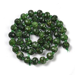Natural Sesame Jasper Dyed Beads Strands&nbsp;G-H057-A21-07