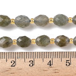 Natural Labradorite Beads Strands&nbsp;G-F809-A40-01