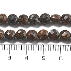 Natural Bronzite Beads Strands&nbsp;G-C179-A07-02