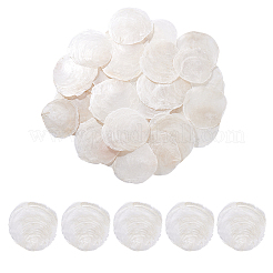 60Pcs Naturtal Capiz Shell Beads&nbsp;FIND-PH0026-67