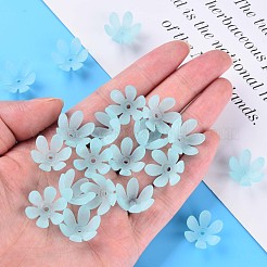 Transparent Acrylic Beads&nbsp;MACR-S373-47-D07