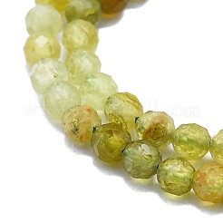Natural Green Garnet Beads Strands&nbsp;G-P457-A03-25