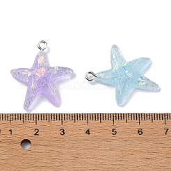 Transparent Resin Pendants&nbsp;RESI-C043-02P