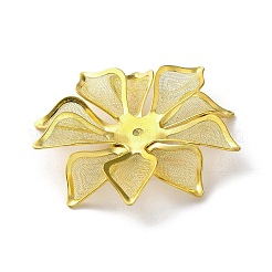 Brass Iron Cabochons&nbsp;KK-C098-01G