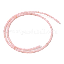 Natural Freshwater Shell Beads Strands&nbsp;SHEL-P017-01A-09