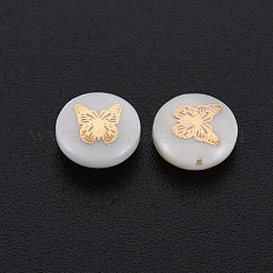 Natural Freshwater Shell Beads&nbsp;SHEL-S278-060
