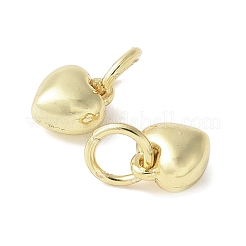 Alloy Pendants&nbsp;FIND-B046-03A-G