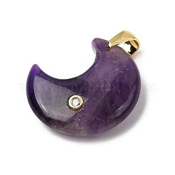 Natural Amethyst Pendants&nbsp;G-A297-02G-10