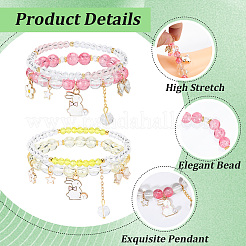 2Bags 2 Colors Plastic & Glass Beaded Stretch Bracelets&nbsp;BJEW-PA0001-09