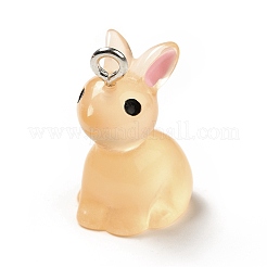 Luminous Translucent Resin Pendants&nbsp;RESI-A017-04