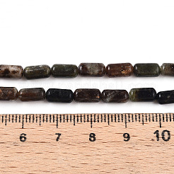 Natural Biotite Beads Strands&nbsp;G-N346-01A-02
